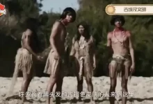 【小灯塔百科】小灯塔系列合集全套（完结）-学吧网