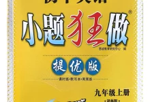 2027《小题狂做•提优版》(9年级上)(英语)(译林版)-学吧网