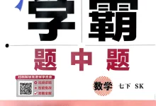 2026版初中《初中数学•学霸题中题》七下(SK)-学吧网