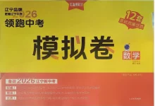 2026版初中《领跑中考模拟卷》（物理、数学）-学吧网