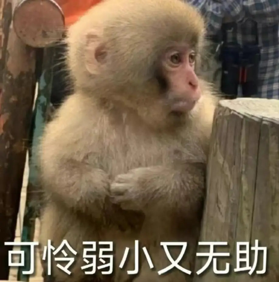 儿童美术课及创意绘画课程合集 文件封面