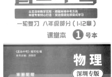 2026版初中《直击中考》（物理）（深圳专版） 