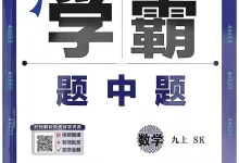 2027《经纶学霸・4 星学霸题中题》（9 年级上）（数学）（苏科版）-学吧网