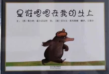 张泉灵:学前阅读课(幼儿园)-学吧网