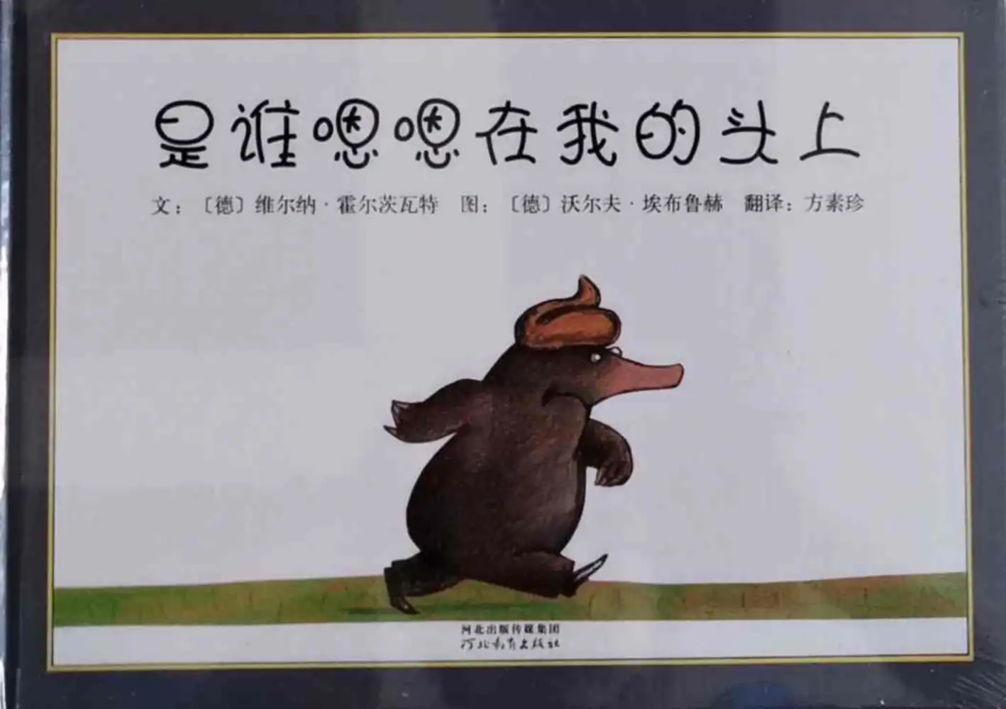 张泉灵:学前阅读课(幼儿园) PDF封面