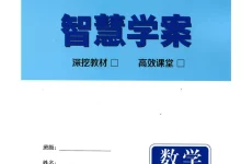 2026《名校学典•智慧学案》(7-9年级上)(数学)(人教版)-学吧网