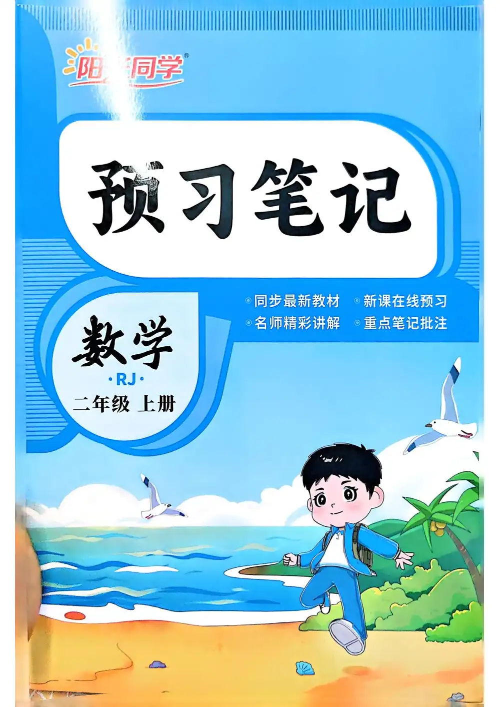 2027《阳光同学•暑假衔接》（2-6）（数学）（人教版） PDF封面