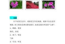 【小学】【完结】余亦诺老师作文技巧提分课（9-13岁）1-学吧网