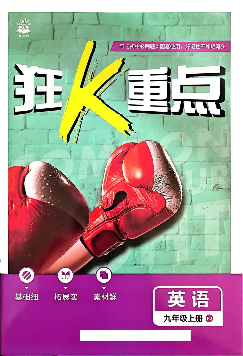 2027版初中《必刷题》9年级上册（英语）（人教版） PDF封面