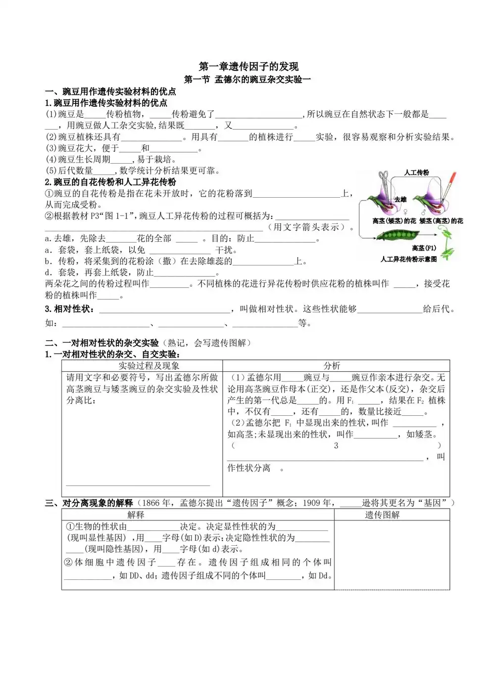 2026版高中《高效备课》高一下学期必修2同步备课课件(生物)(人教版) PDF封面
