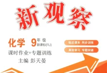 2027《思维新观察》(9年级全一册)(化学)(人教版)-学吧网