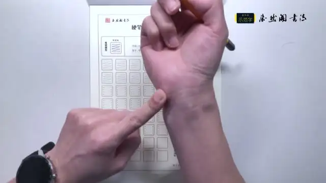 VIP硬笔书法课程（共250课完结） 手把手教 附 文件封面