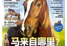 《好奇号》2026-学吧网