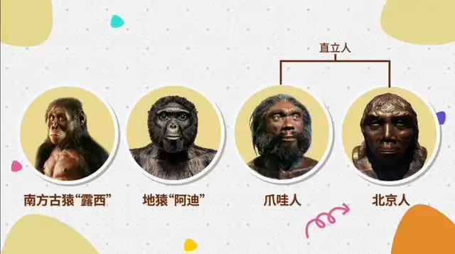 世界历史八分钟（视频） 文件封面