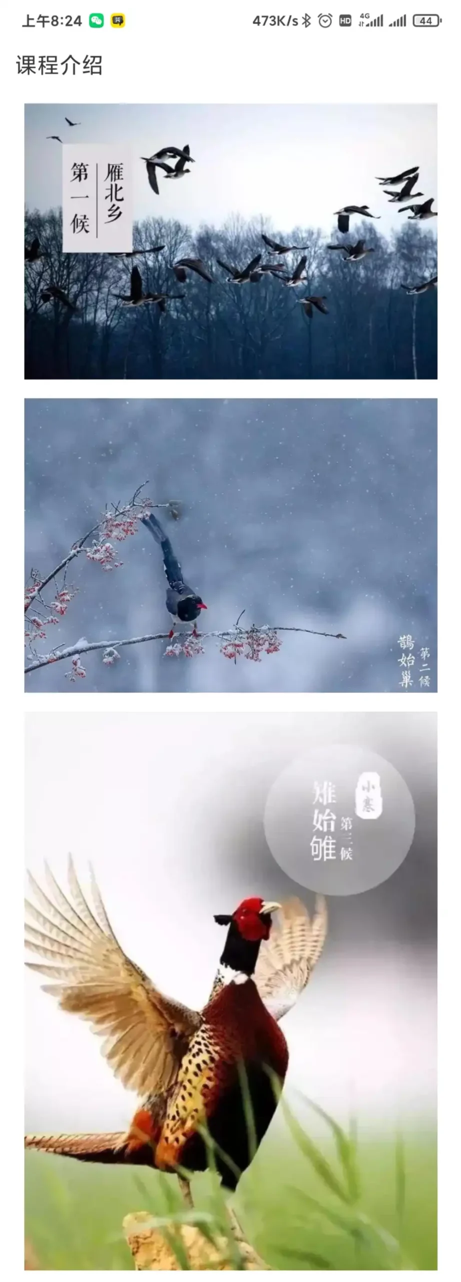 王芳知识脱口秀(有更新) 文件封面