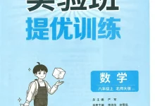 2027《春雨教育•实验班提优训练》（8年级上）（数学）（北师大版）-学吧网