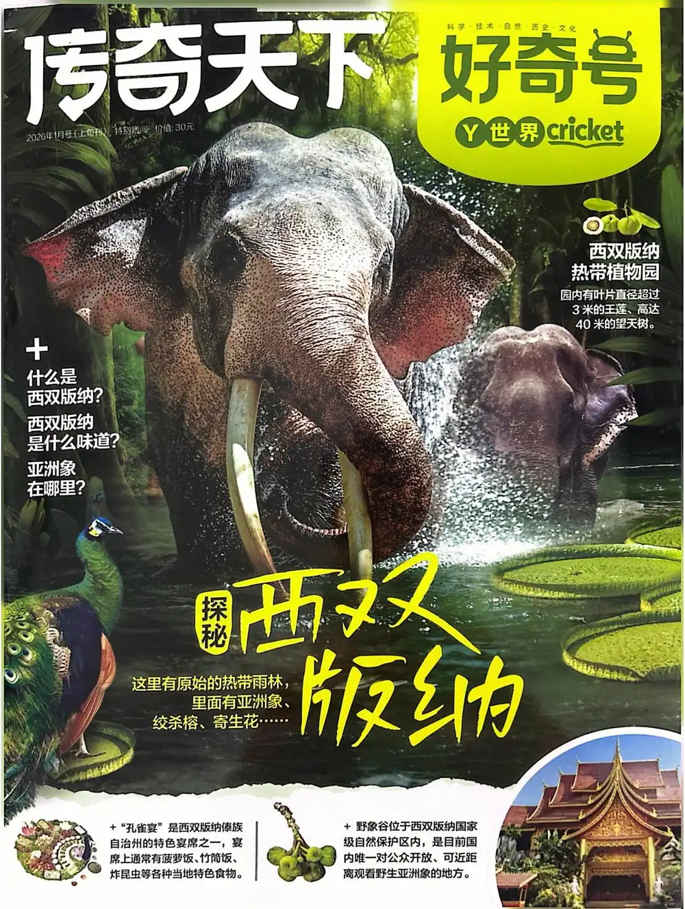 《好奇号》2026 文件封面
